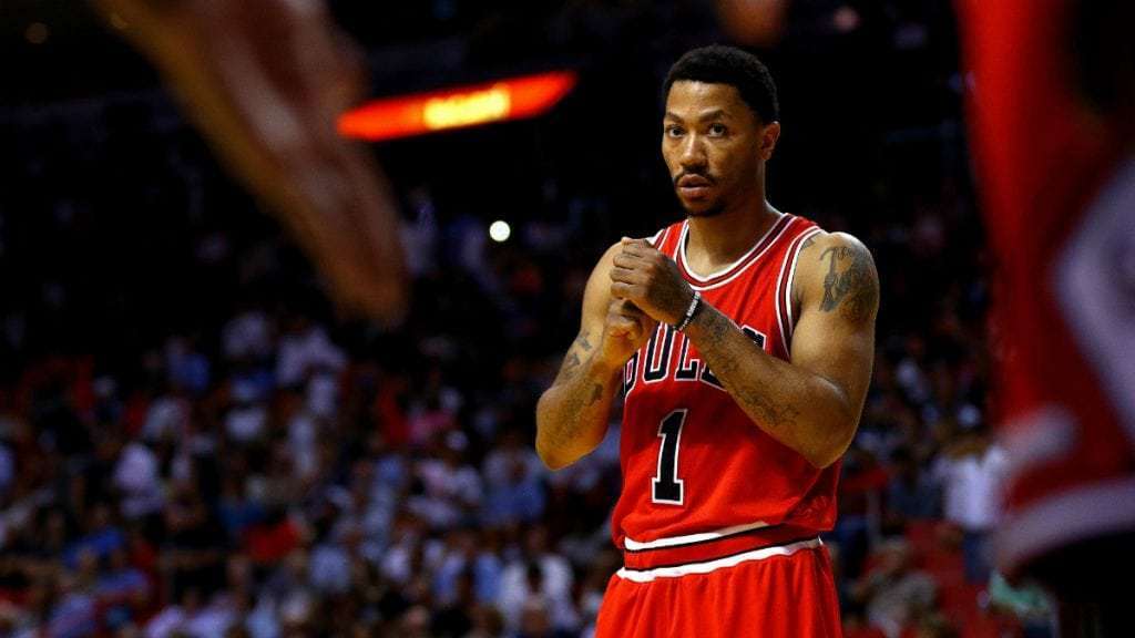 The Signature Manuals by HoopHandbook 